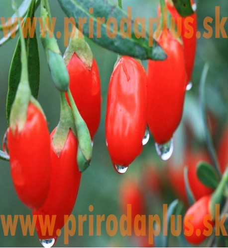 Káva zelená - na chudnutie s goji 100 g